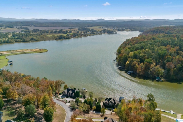 birds eye view of property featuring a water and mountain view