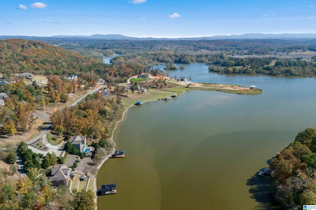 aerial view with a water and mountain view