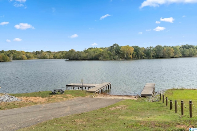 dock area featuring a water view