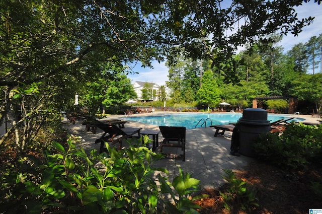 view of pool with a patio area