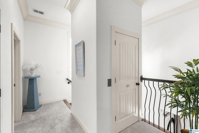 hallway featuring carpet and crown molding