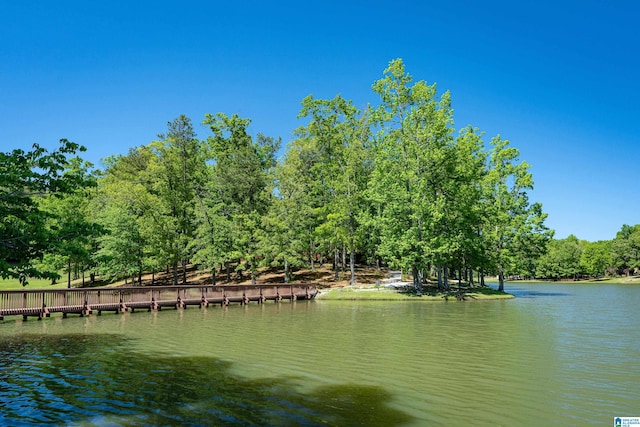 property view of water