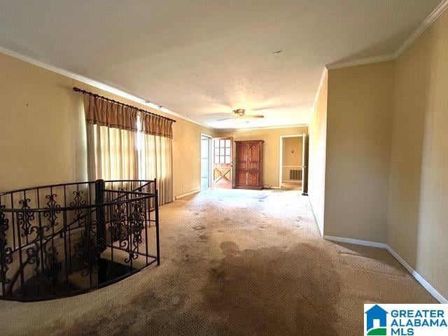 carpeted empty room with ceiling fan and ornamental molding