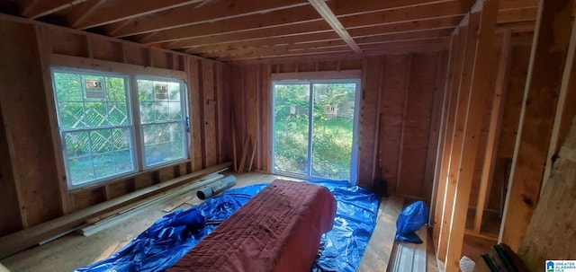 miscellaneous room with a wealth of natural light