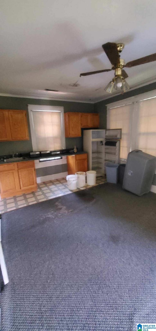 kitchen featuring sink, carpet floors, and ceiling fan