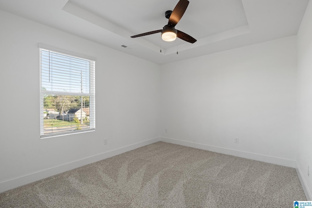 empty room with a healthy amount of sunlight, a tray ceiling, and carpet