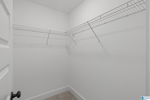 spacious closet featuring carpet flooring