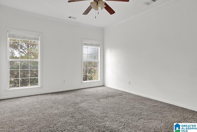 empty room featuring crown molding, carpet floors, and plenty of natural light