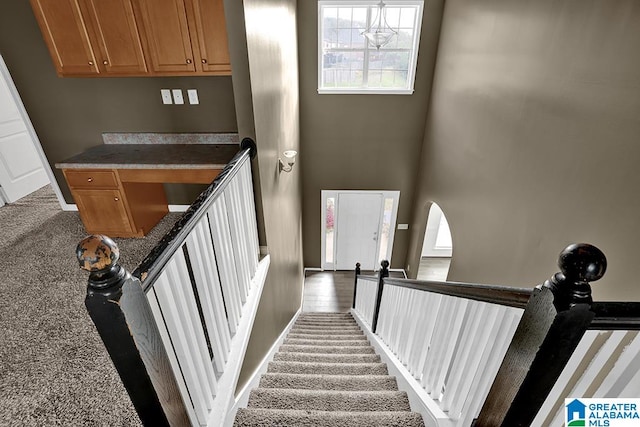 stairs with carpet