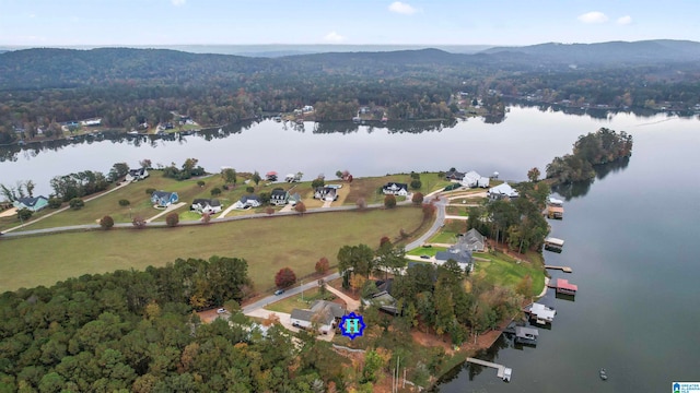 birds eye view of property featuring a water and mountain view