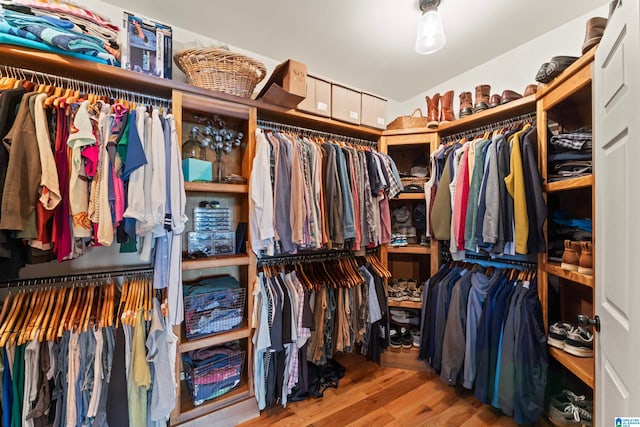 spacious closet with wood-type flooring