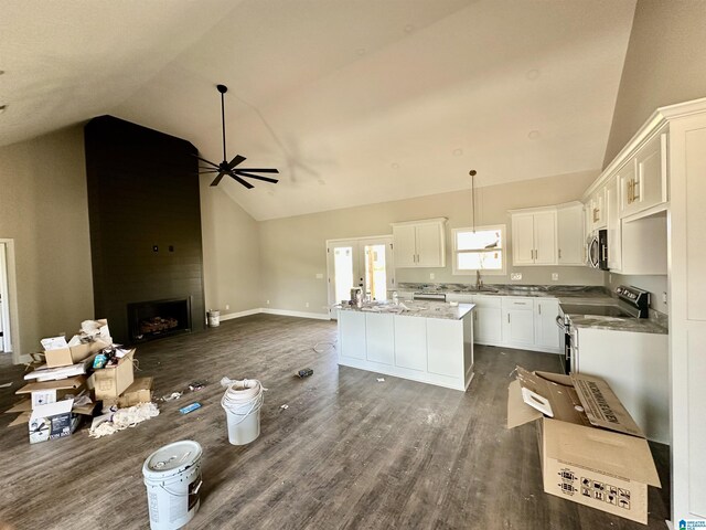kitchen featuring dark wood-type flooring, open floor plan, a center island, and appliances with stainless steel finishes