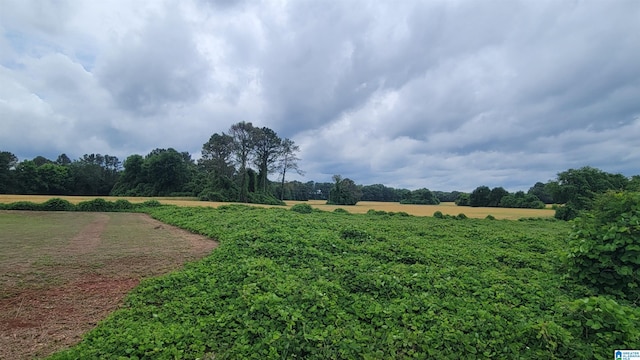 view of yard featuring a rural view