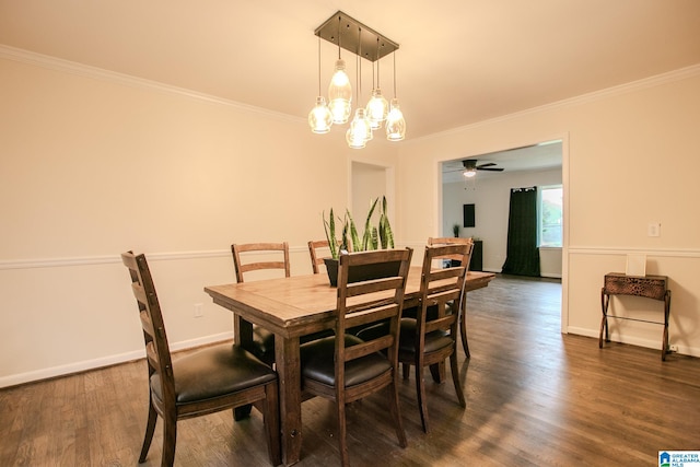 dining room with ceiling fan with notable chandelier, ornamental molding, and dark hardwood / wood-style floors