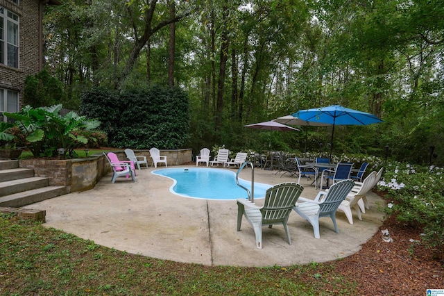 view of pool featuring a patio area