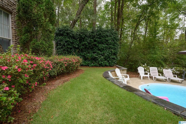 view of yard featuring a patio area