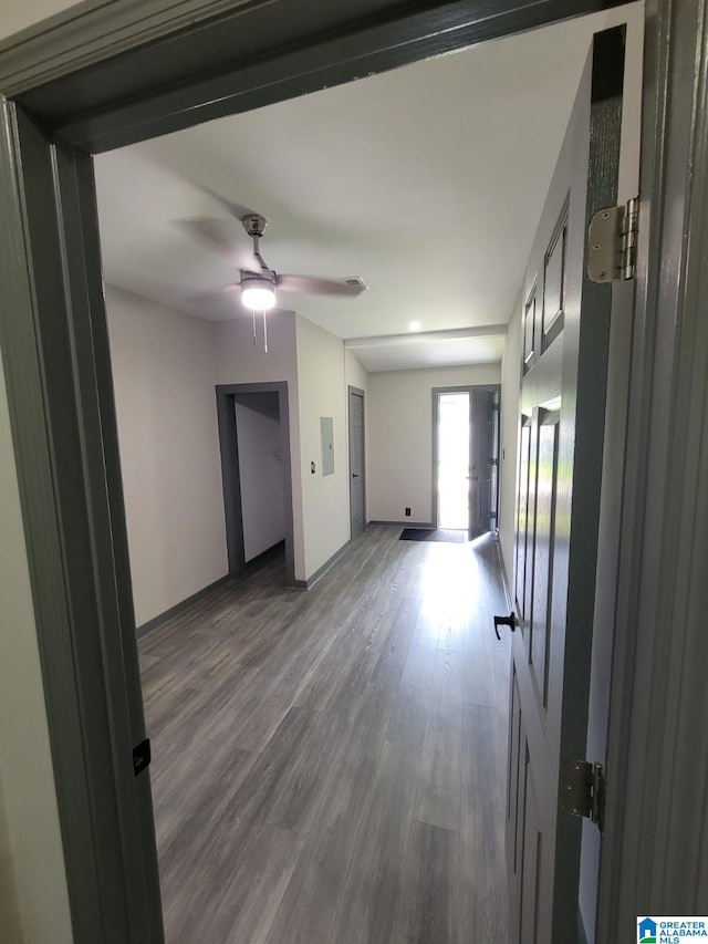 empty room featuring ceiling fan and wood-type flooring