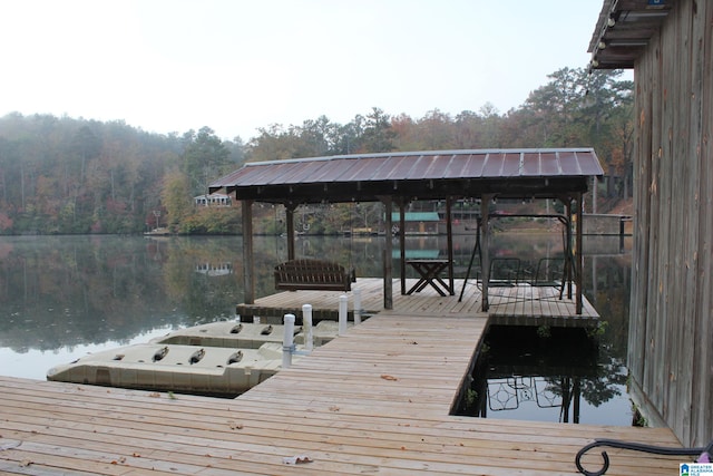 dock area with a water view