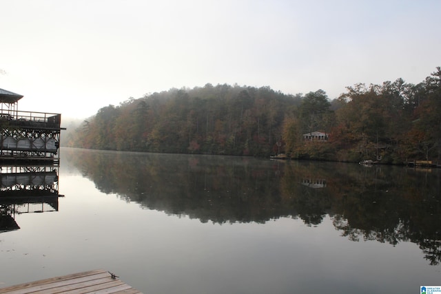 view of water feature