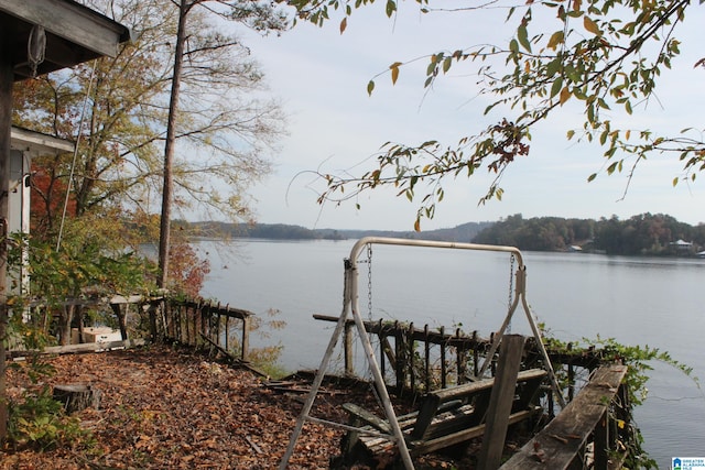 dock area with a water view