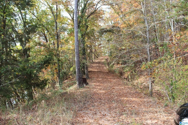 view of nature