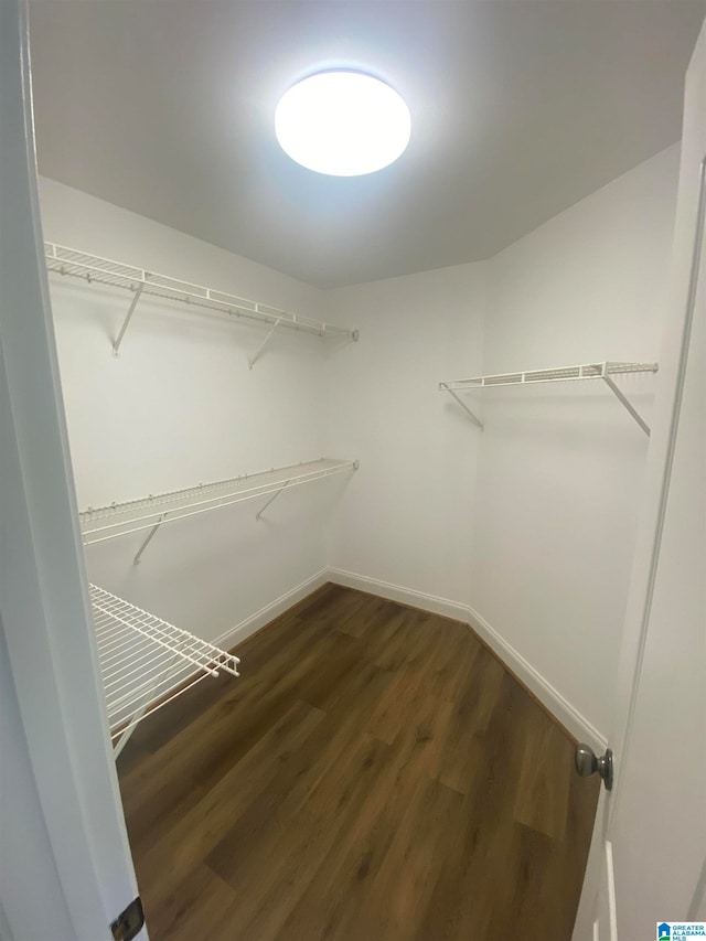 spacious closet featuring dark hardwood / wood-style floors