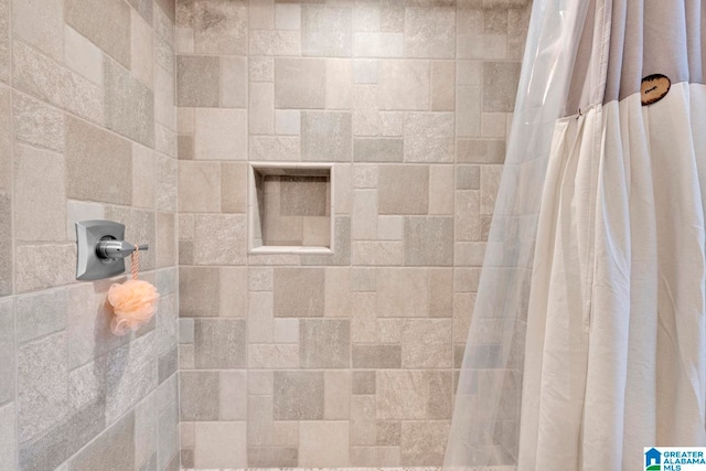 interior details with a shower with curtain