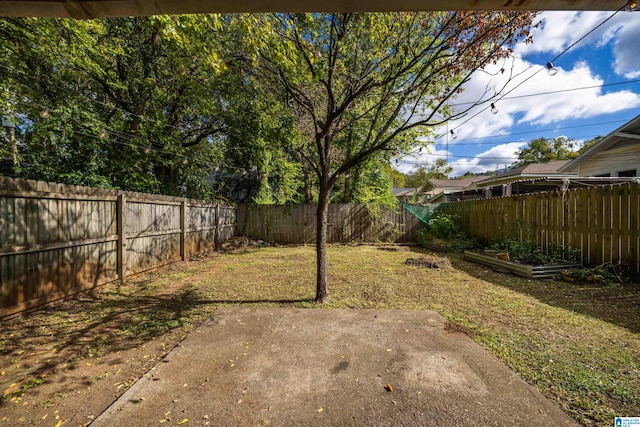 view of yard with a patio area and a fenced backyard