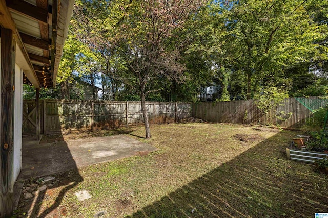 view of yard with a patio area and a fenced backyard