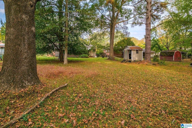 view of yard with a storage shed