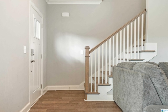 foyer entrance featuring dark wood-type flooring