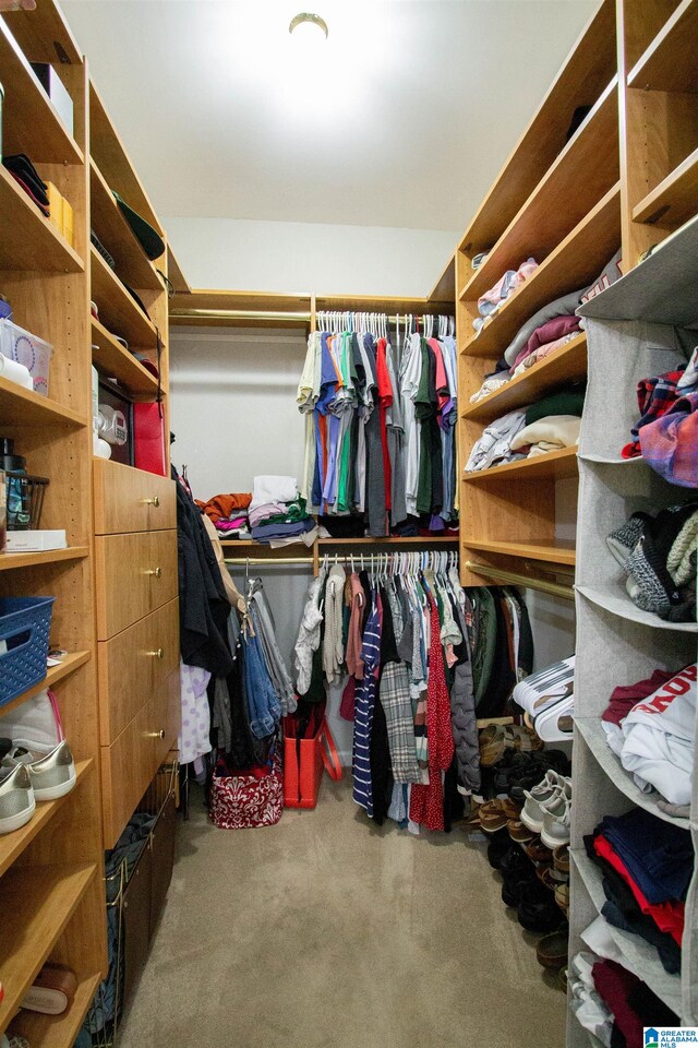 spacious closet featuring carpet flooring