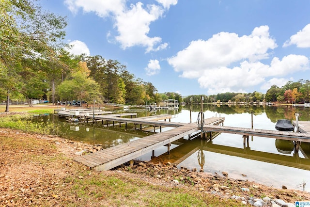 dock area with a water view