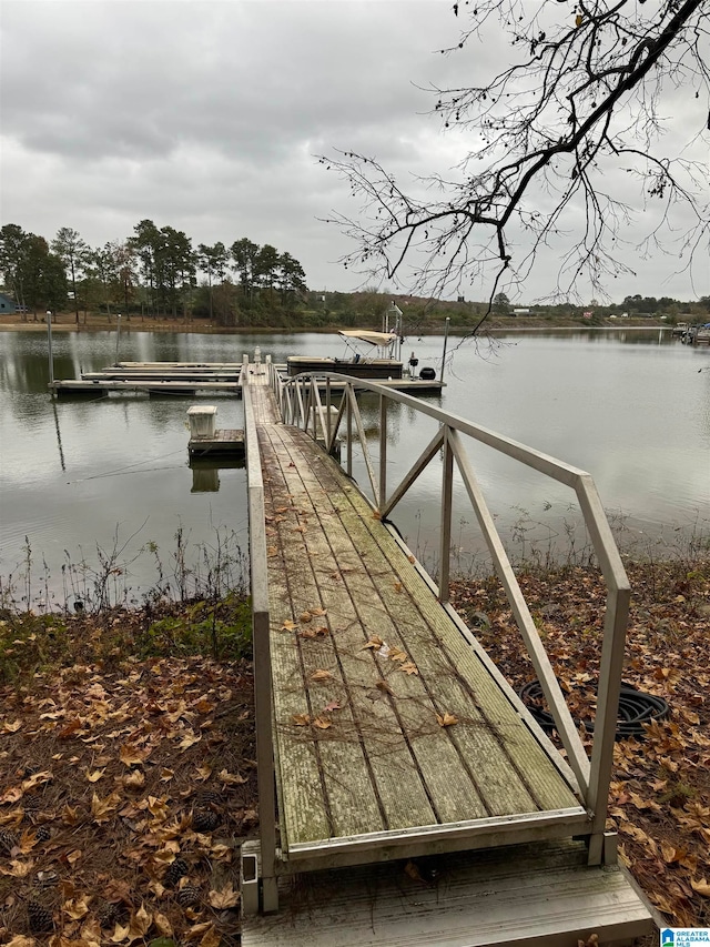 dock area with a water view