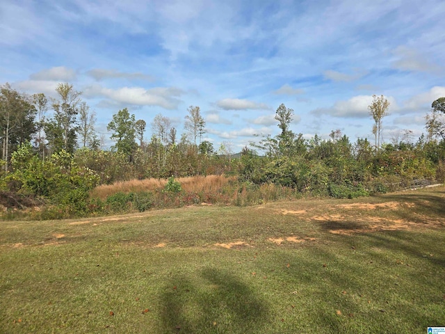 view of local wilderness