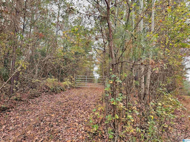 UNKN County Road 60 0, Heflin AL, 36264 land for sale