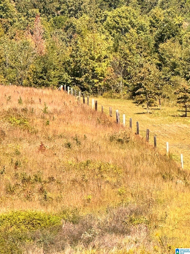 view of nature featuring a rural view