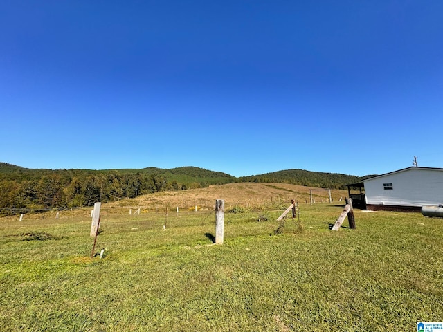 view of yard featuring a mountain view and a rural view