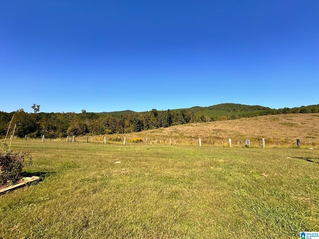 view of yard with a rural view