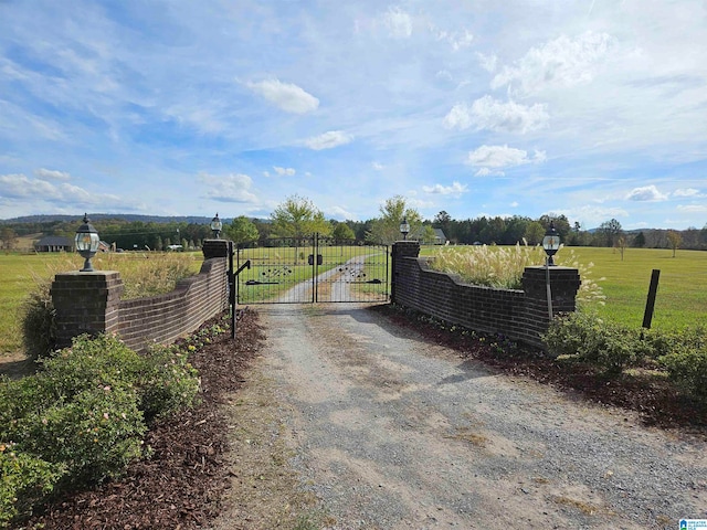 view of gate with a rural view