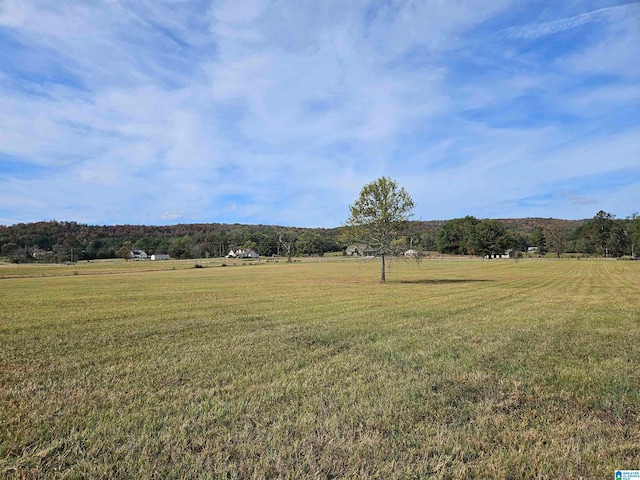 view of yard featuring a rural view