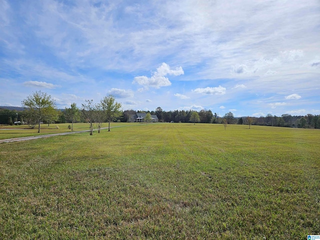 view of yard with a rural view