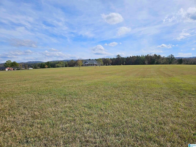 view of yard featuring a rural view