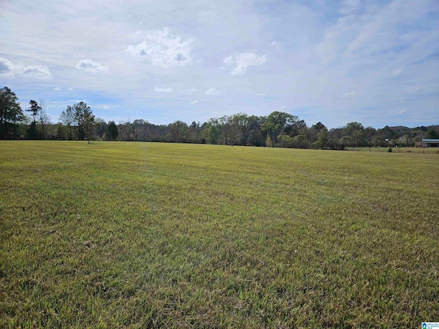 view of local wilderness with a rural view