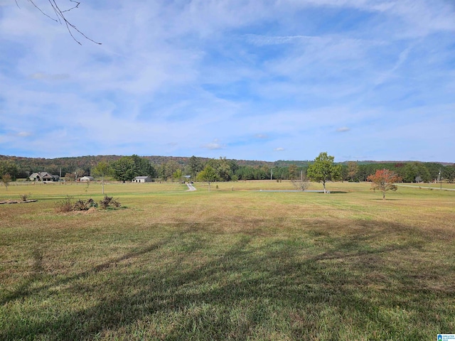 view of yard featuring a rural view