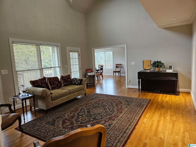 living room with a towering ceiling, crown molding, and light wood-type flooring