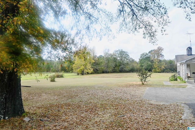 477 County Road 183, Eutaw, AL 35462 - view of green lawn