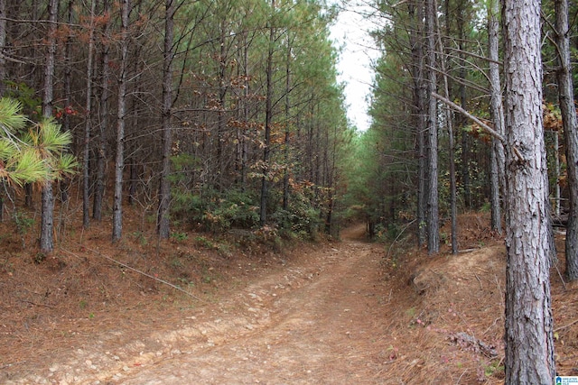 view of road