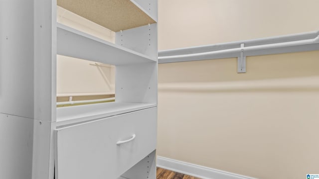 spacious closet with wood-type flooring