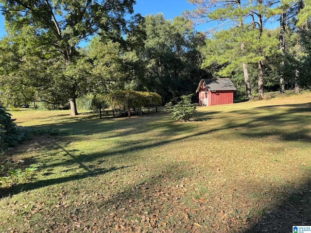 view of yard featuring a storage unit